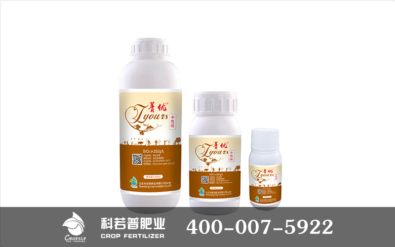 標題.jpg